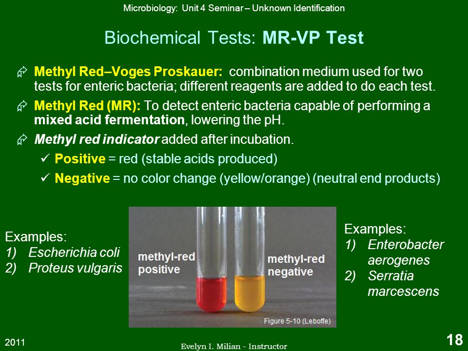 Summary of Biochemical Tests